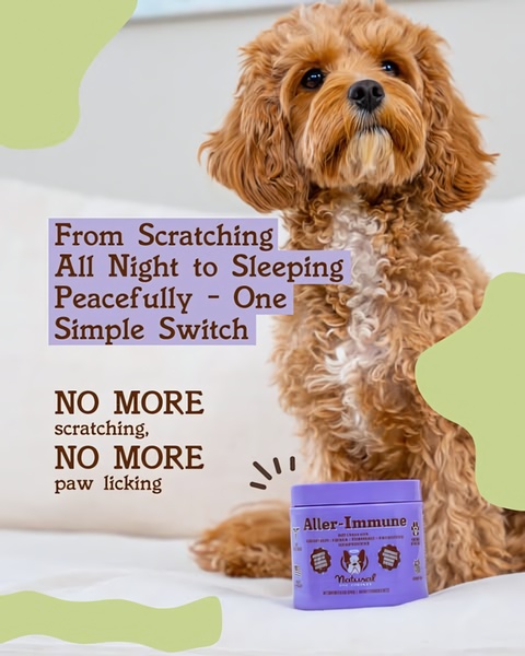 A high-converting 4:5 ad creative for a dog supplement that uses a direct pain-point headline and clear, benefit-driven product presentation.